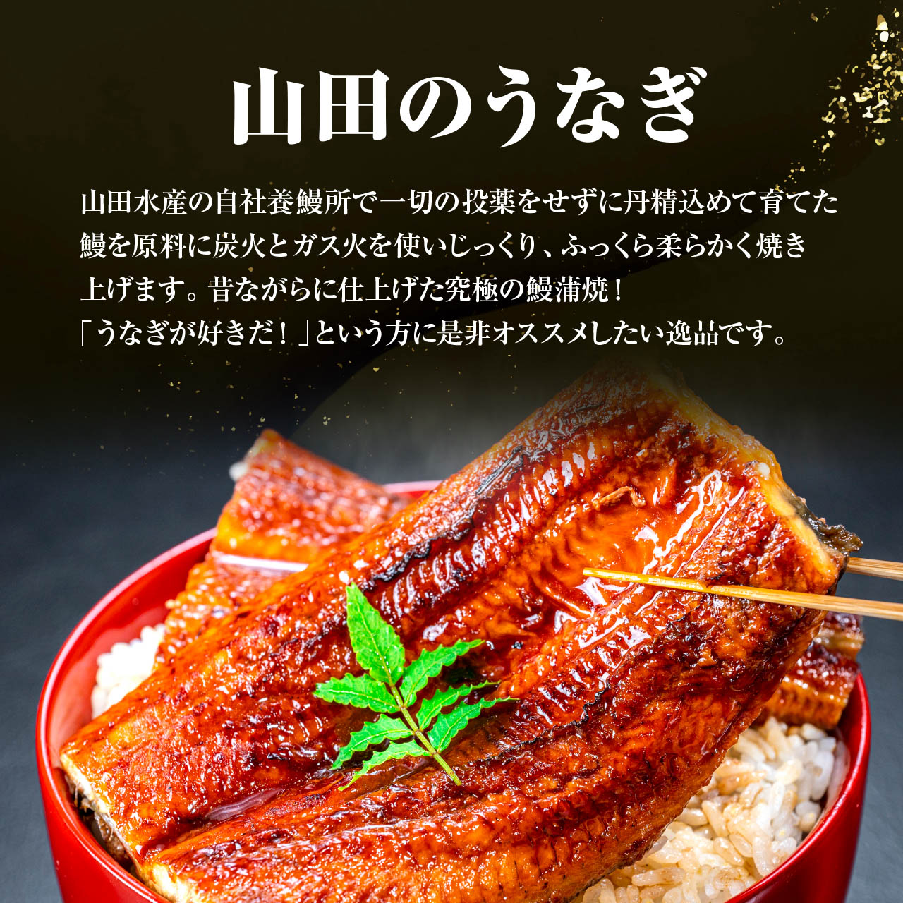 山田の鰻説明
