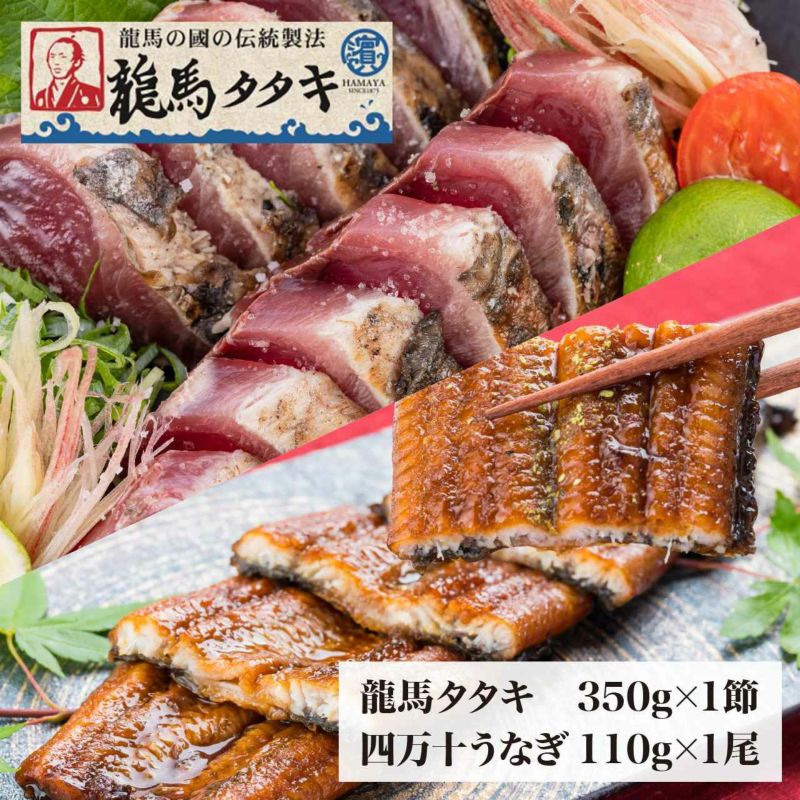 ハマヤ 龍馬タタキ1節+四万十うなぎ1尾セット