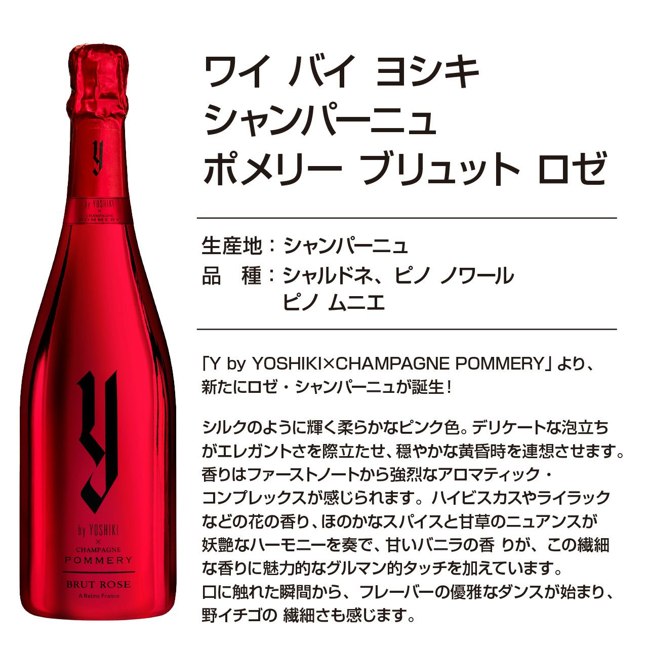 数量限定！】Y by YOSHIKI × CHAMPAGNE POMMERY BRUT Brut Rose（箱  