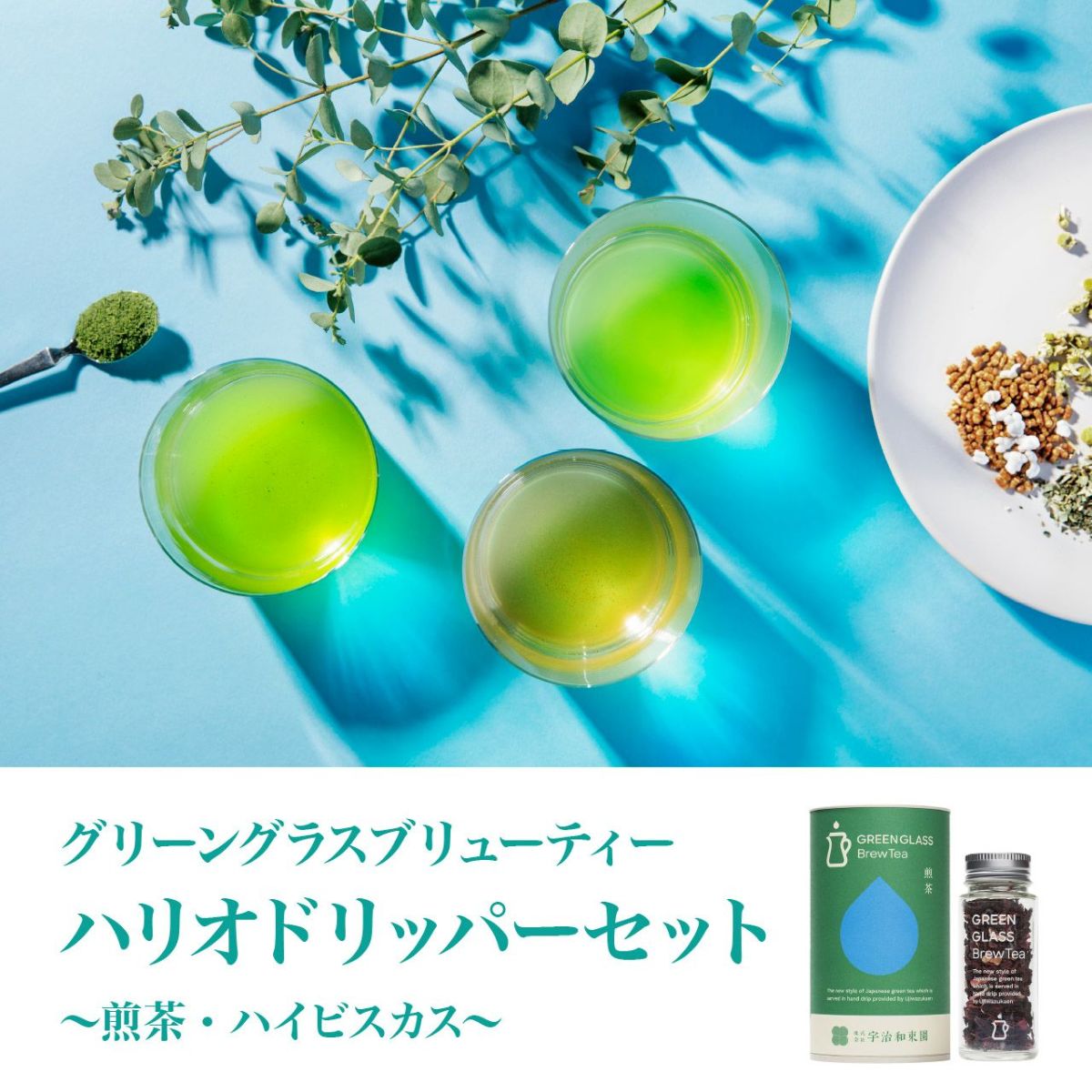 【山城物産】GGBT煎茶ハリオドリッパーギフトセット　(煎茶・ハイビスカス)