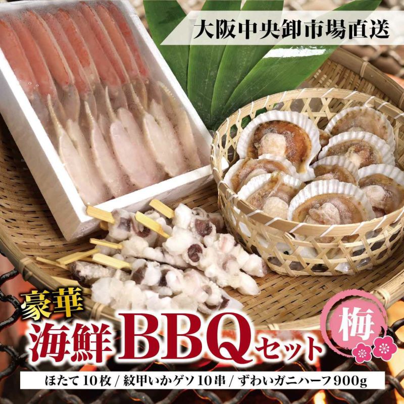 【本場清水水産】豪華海鮮BBQセット（ズワイガニ・ほたて・イカ串）【梅】